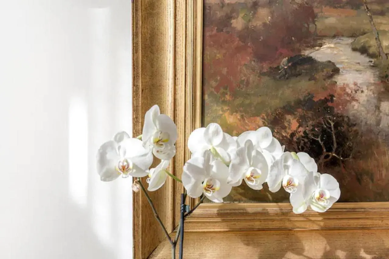 公寓 Studio Apt Ancient Palazzo 佛罗伦萨